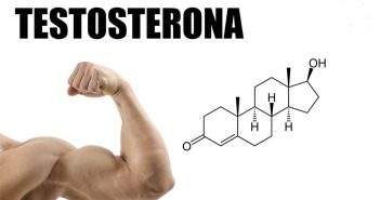 Testosterona: influencia en el aumento de masa muscular